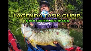 LAGENDA GUBIR IS BACK - Nami Green Arowana - Khazanah Negara.