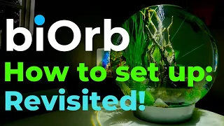 biOrb Aquarium   | Starting a biOrb | New approach!