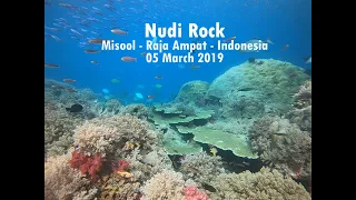 Diving Nudi Rock, Misool, Raja Ampat