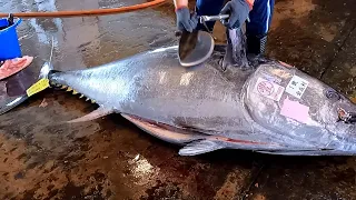 Amazing 3 Minute Skill For Cutting Giant Bluefin Tuna