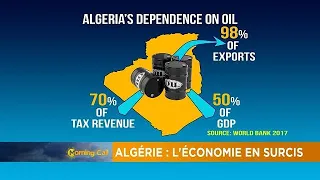 Focus on Algeria's economy [Business]