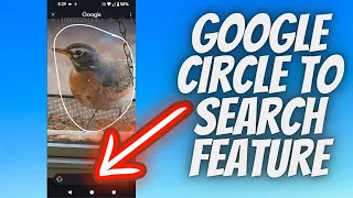 Google Pixel 8 Pro Circle To Search Feature