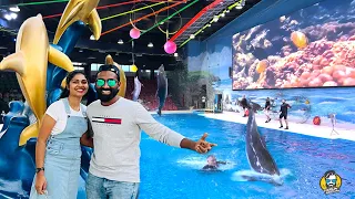 Dolphin & Seal Show| Watch And Get 25% Discount At Dubai Dolphinarium #dolphinarium #dubai