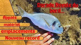 Une pêche INCROYABLE de la DORADE ROYALE !!!(4K)