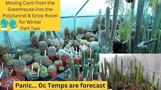 Moving my Cacti from the Greenhouse into the Polytunnel & Grow Room for Winter | Part Two #cactus