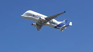 The Royal International Air Tattoo RIAT 2022 Saturday: Airbus Beluga