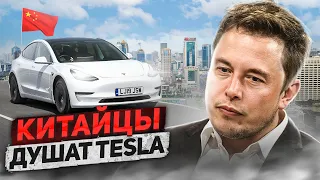 Выгнали русского из американской Теслы в Китае! Tesla дешевле на полмиллиона! Обзор Tesla Model 3/Y