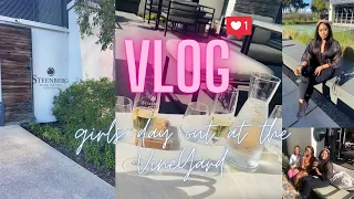 VLOG // STEENBERG - WINE TASTING