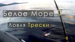 Ловля трески в Белом Море | В плохую погоду за крупной рыбой | IRL