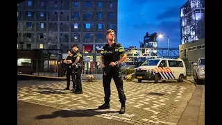 Rotterdam terror alert: Second arrest after Allah-Las concert cancelled over terrorism tip-off ..