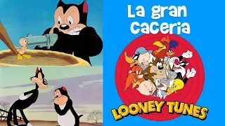 Lo Mejor de Looney Tunes en Español Latino | La gran caceria  | Dibujos Animados Clásico HD