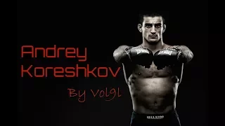 ANDREY "SPARTAN" KORESHKOV HIGHLIGHTS [By Vol9l]