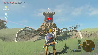 So MACHST du EINEN WÄCHTER gut [Zelda BOTW]