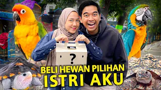 BELI HEWAN APAPUN DIPILIHIN ISTRI AKU DI PASAR HEWAN TERBESAR BANDUNG!