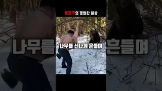 오늘도 평화로운 불곰국