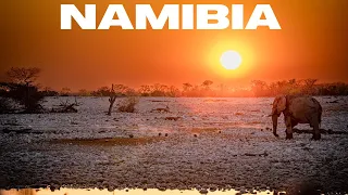 NAMIBIA  |  AN OVERLANDING ADVENTURE  | EPISODE 3 | ETOSHA NATIONAL PARK