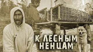 Экспедиция к лесным ненцам. Родовые стойбища Айваседа. Речка Варьёганка. Охотники, старики, чумы..