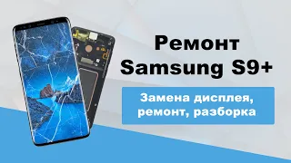 Замена дисплея, ремонт, разборка Samsung S9+, Samsung S9 plus  / disassembly, repair