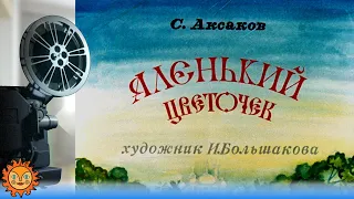 Аленький цветочек. Сергей Аксаков