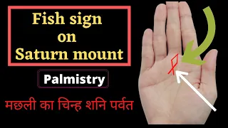 Fish On Saturn mount | Business Job | Palmistry | मछली का चिन्ह शनि पर्वत