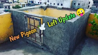 My New Pigeon 🕊️ LOFT Update 😜