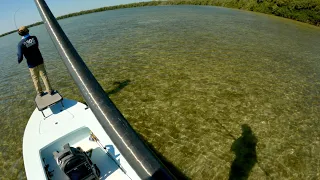 Chasing Fish in Crystal Clear Saltwater Flats (Fly Fishing the Florida Everglades)