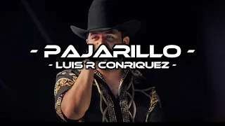 Pajarillo - Luis R Conriquez (LETRA)(EXCLUSIVA)(CORRIDOS 2022)