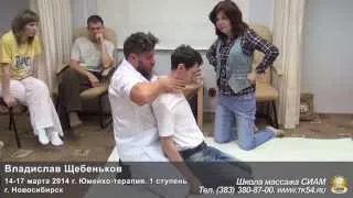 В. Щебеньков - Юмейхо-терапия. Демонстрация