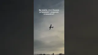 В Казани устраивают свидания в самолёте с фотосессией ✈️