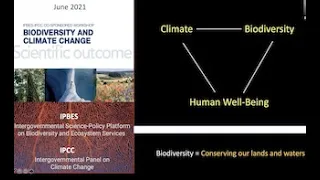 Webinar: Academia's Role in Advancing Conservation & Biodiversity to Address Climate Change & Health