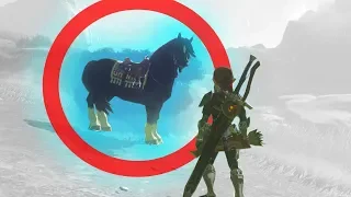 Why Breath of the Wild's Horses Work | Game Mechanics Explained