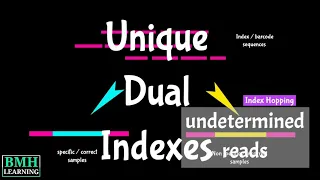 Dual Index Sequencing | Dual Index Adapters With UMIs | Unique Dual Indexes | Non-Redundant Indexes