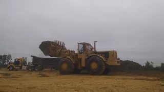 Caterpillar 988A Straight Piped Startup and (Over)Loading Mulch