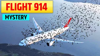 Flight 914 का रहस्य - एक ऐसा हवाई जहाज जो 37 सालो बाद लैंड हुआ। MYSTERY OF FLIGHT 914 FULL EXPLAINED
