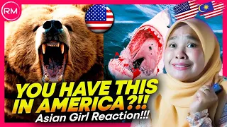 Asian Girl React To The Most DANGEROUS ANIMALS In The UNITED STATES