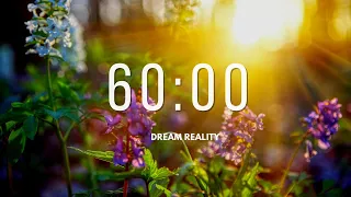 One HOUR 60 Minute Timer Relaxing Music and Alarm