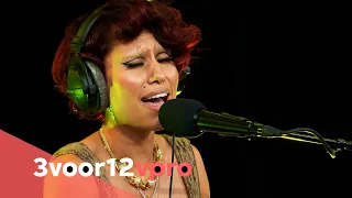 RAYE - Live at 3voor12 Radio