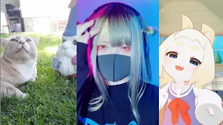 Новые мемы из TikTok | Отборное TikTok