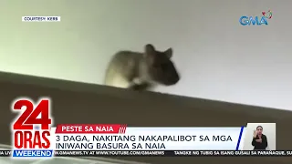 3 daga, nakitang nakapalibot sa mga iniwang basura sa NAIA | 24 Oras Weekend