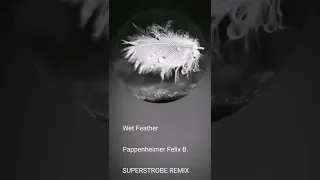 Pappenheimer Felix B. - Wet Feather (SUPERSTROBE REMIX)