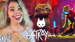STRAY: GAME OF THE YEAR! Stray Gameplay- Part 1