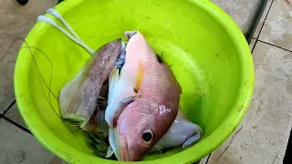 ikan merah tanda Bakar.. sedap