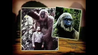 Connected Cryptids: Bigfoot and Yeti (Part 1 of 2)