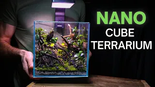 I Made a BREATHTAKING Nano Cube Terrarium, Here’s How!