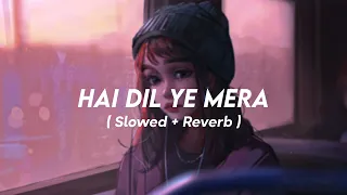 Hai Dil Ye Mera - ( Slowed + Reverb ) | Arijit Singh