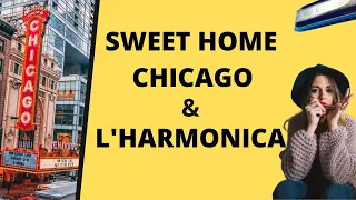 Comment jouer Sweet Home Chicago avec son Harmonica