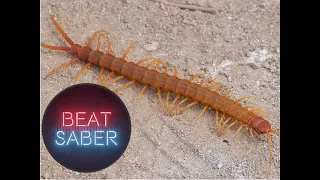 Knife Party - Centipede | Expert+, A Rank | Beat Saber