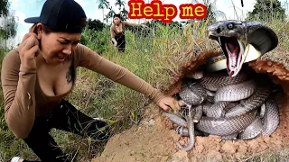 KING PYTHON114 | Beautiful Girl Using Her Hand To Catch Snakes Hiding In The Mound