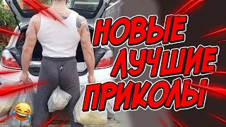 😂Я РЖАЛ ДО СЛЕЗ | ПРИКОЛЫ ЗА АПРЕЛЬ | FUNNY MOMENTS 2023 | 13 МИНУТ СМЕХА! | #411