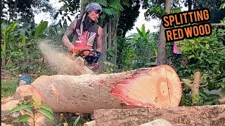 Gergaji mesin stihl membelah kayu jaranan buat papan dengan gergaji serkel